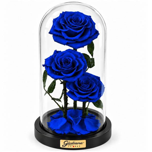 Rosa Encantada Azul Suprema Trio