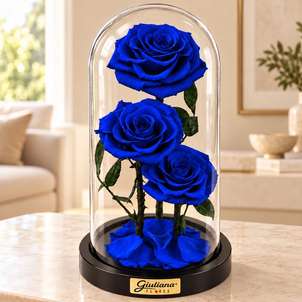 Rosa Encantada Azul Suprema Trio