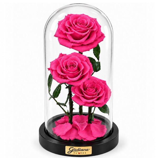 Rosa Encantada Pink Suprema Trio