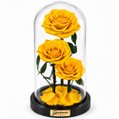 Rosa Encantada Amarela Suprema Trio