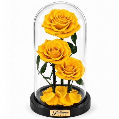 Rosa Encantada Amarela Suprema Trio