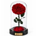 Rosa Encantada Vermelha Suprema Única