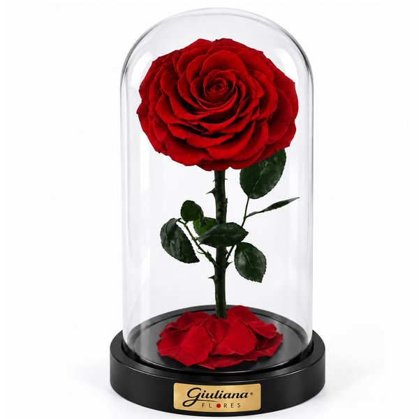 Rosa Encantada Vermelha Suprema Única