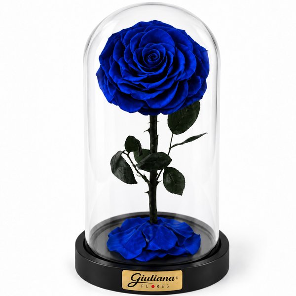 Rosa Encantada Azul Suprema Única