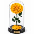 Rosa Encantada Amarela Suprema Única