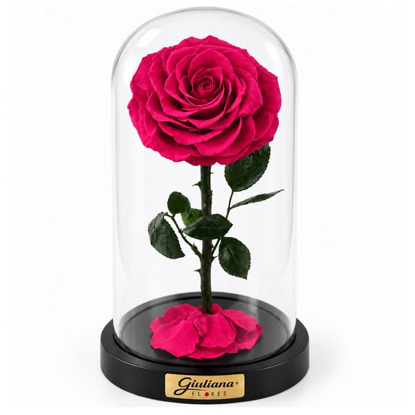 Rosa Encantada Pink Suprema Única