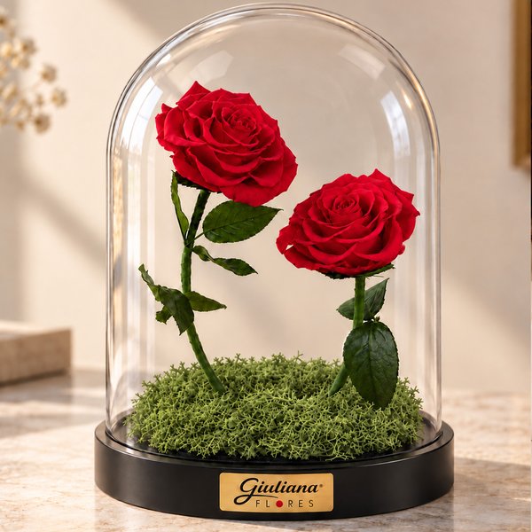 Rosa Encantada Vermelha  Suprema Dueto