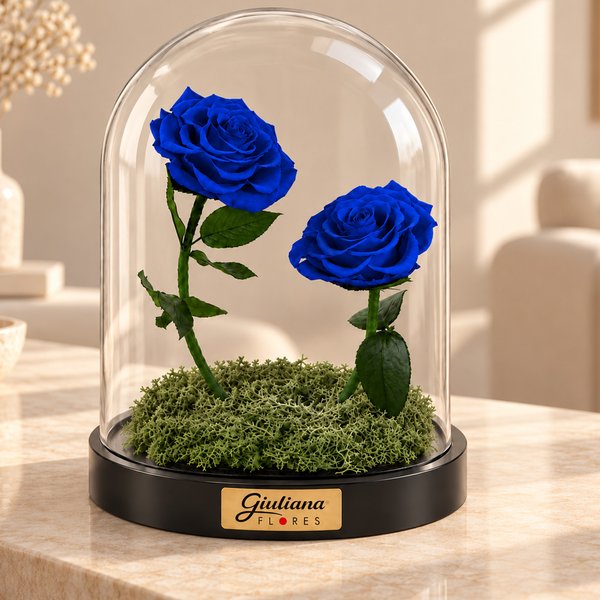 Rosa Encantada Azul Suprema Dueto