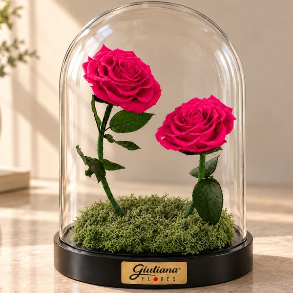 Rosa Encantada Pink Suprema Dueto