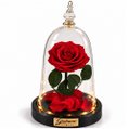 Rosa Encantada Vermelha Suprema Real