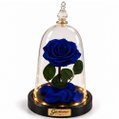 Rosa Encantada Azul Suprema Real