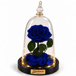 Imagem de Rosa Encantada Azul Suprema Real