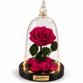 Rosa Encantada Pink Suprema Real