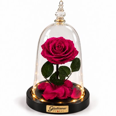 Rosa Encantada Pink Suprema Real