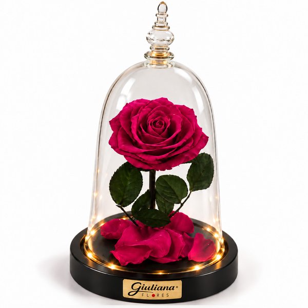 Rosa Encantada Pink Suprema Real