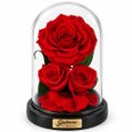 Rosa Encantada Vermelha Suprema Nobre