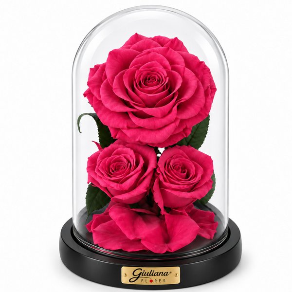 Rosa Encantada Pink Suprema Nobre