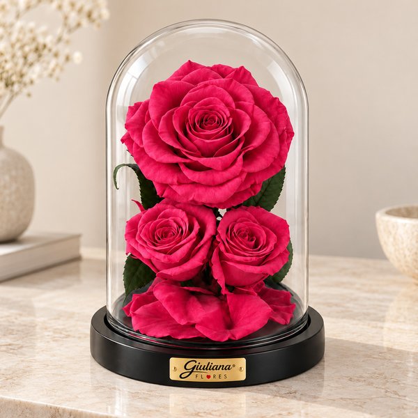 Rosa Encantada Pink Suprema Nobre