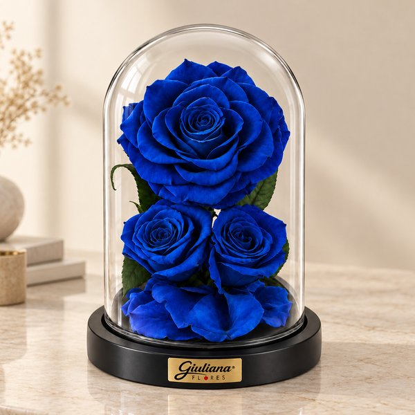 Rosa Encantada Azul Suprema Nobre
