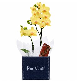 Imagem de Mini Orquídea Rara Amarela no Box Pra Você e Bombom 3 Und Giuliana Flores