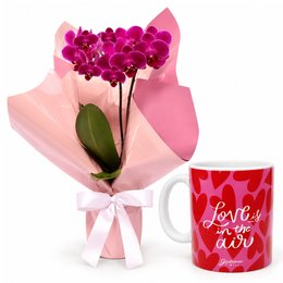 Imagem de Mini Orquídea Rara Lilás Virtuosa e Caneca Love Is In The Air