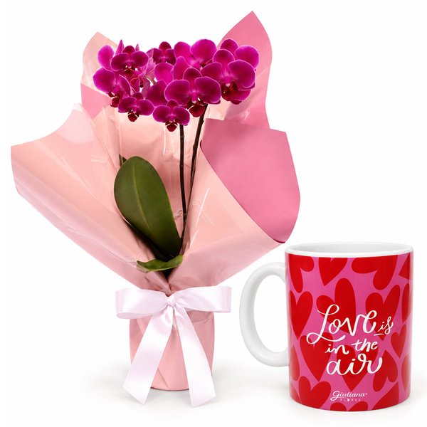 Mini Orquídea Rara Lilás Virtuosa e Caneca Love Is In The Air