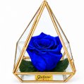 Pirâmide de Rosa Encantada Azul