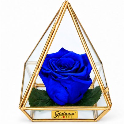 Pirâmide de Rosa Encantada Azul