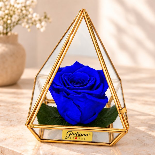 Pirâmide de Rosa Encantada Azul