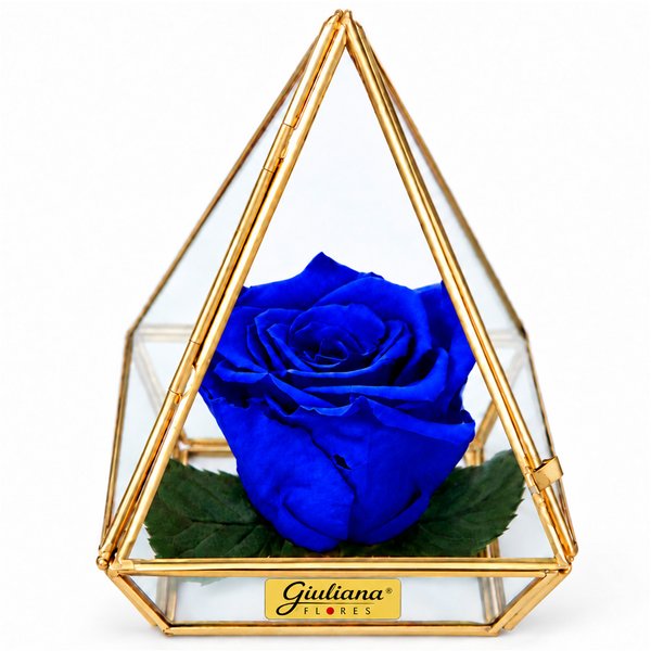 Pirâmide de Rosa Encantada Azul