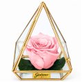 Pirâmide de Rosa Encantada Cor de Rosa