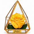Pirâmide de Rosa Encantada Amarela