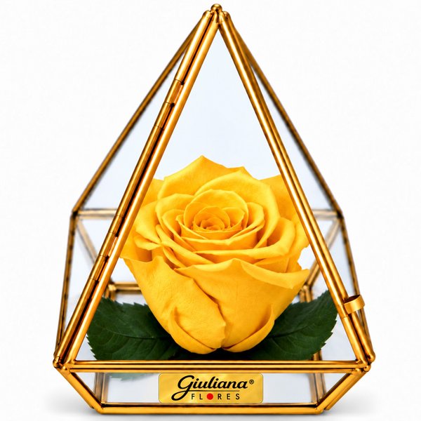 Pirâmide de Rosa Encantada Amarela