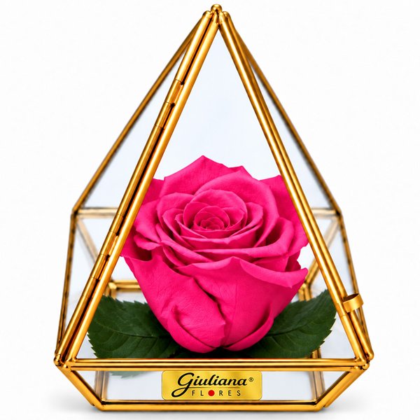 Pirâmide de Rosa Encantada Pink