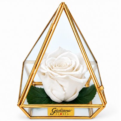 Pirâmide de Rosa Encantada Branca