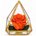 Pirâmide de Rosa Encantada Laranja