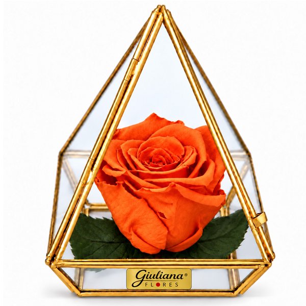 Pirâmide de Rosa Encantada Laranja