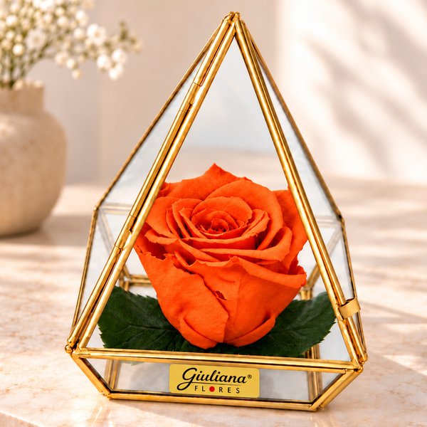 Pirâmide de Rosa Encantada Laranja