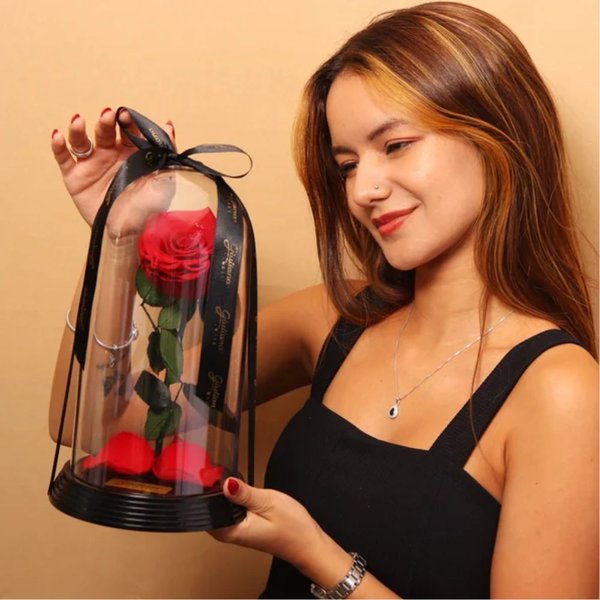 Fabulosa Rosa Encantada Vermelha e Almofada Formato Fera 3D - A Bela e a Fera