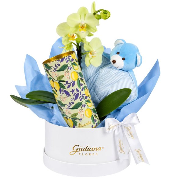 Kit Maternidade com Mini Orquídea Amarela - Abraço de Menino