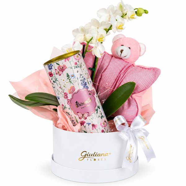 Kit Maternidade com Lata Flora Biscoitê - Abraço de Menina