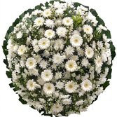 Coroa Essencial Branca