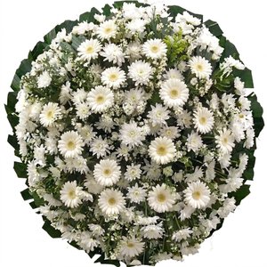 Imagem de Coroa Essencial Branca