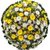 Coroa Essencial Amarela