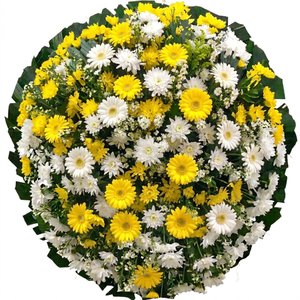 Imagem de Coroa Essencial Amarela