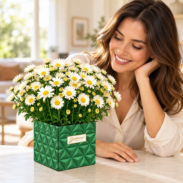 Margaridinha Branca Plantada no Cachepot Grafismo
