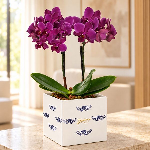 Mini Orquídea Rara Lilás no Cachepot Azulejo