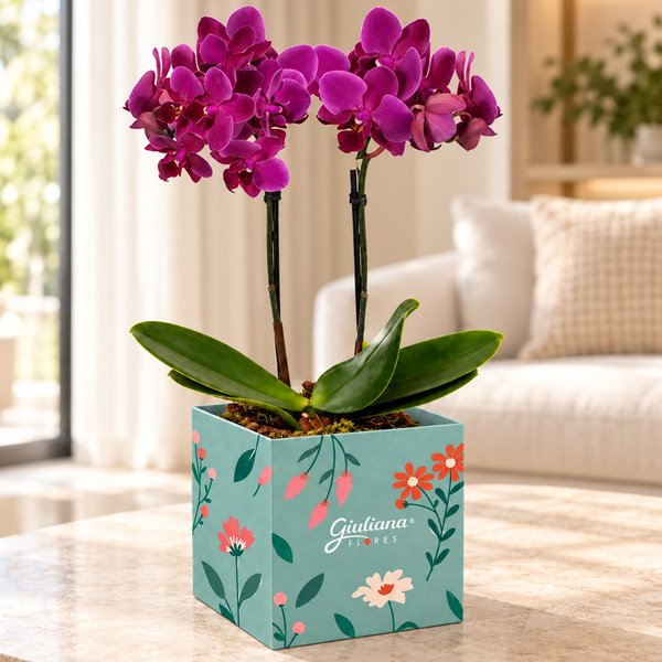 Mini Orquídea Rara Lilás no Cachepot Jardim