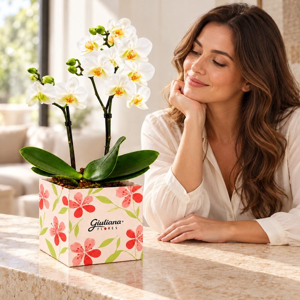 Mini Orquídea Rara Branca no Cachepot Primavera
