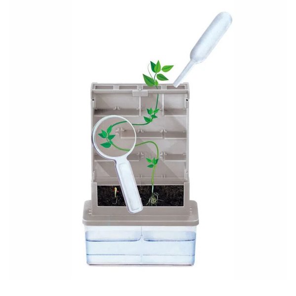 Steam Labirinto de Plantas - Xalingo